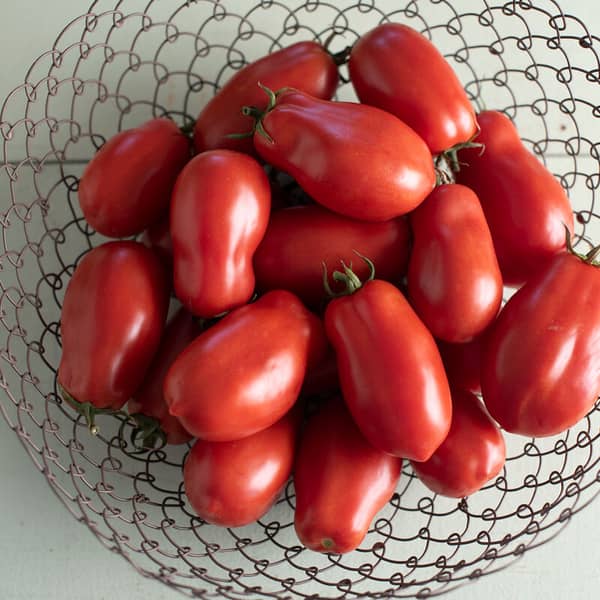 San Marzano II