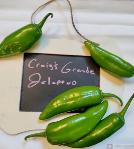 Jalapeno