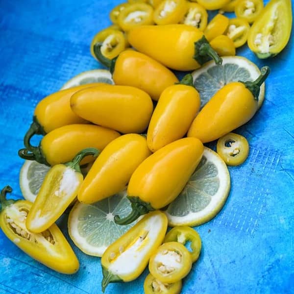 Jalapeno