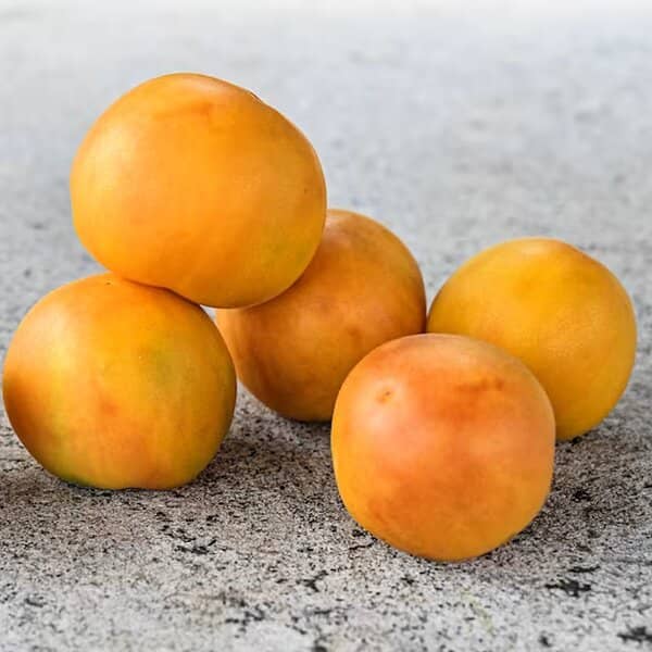 Orange Peach