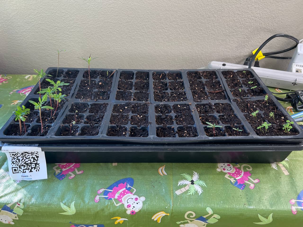 Tray: Watered