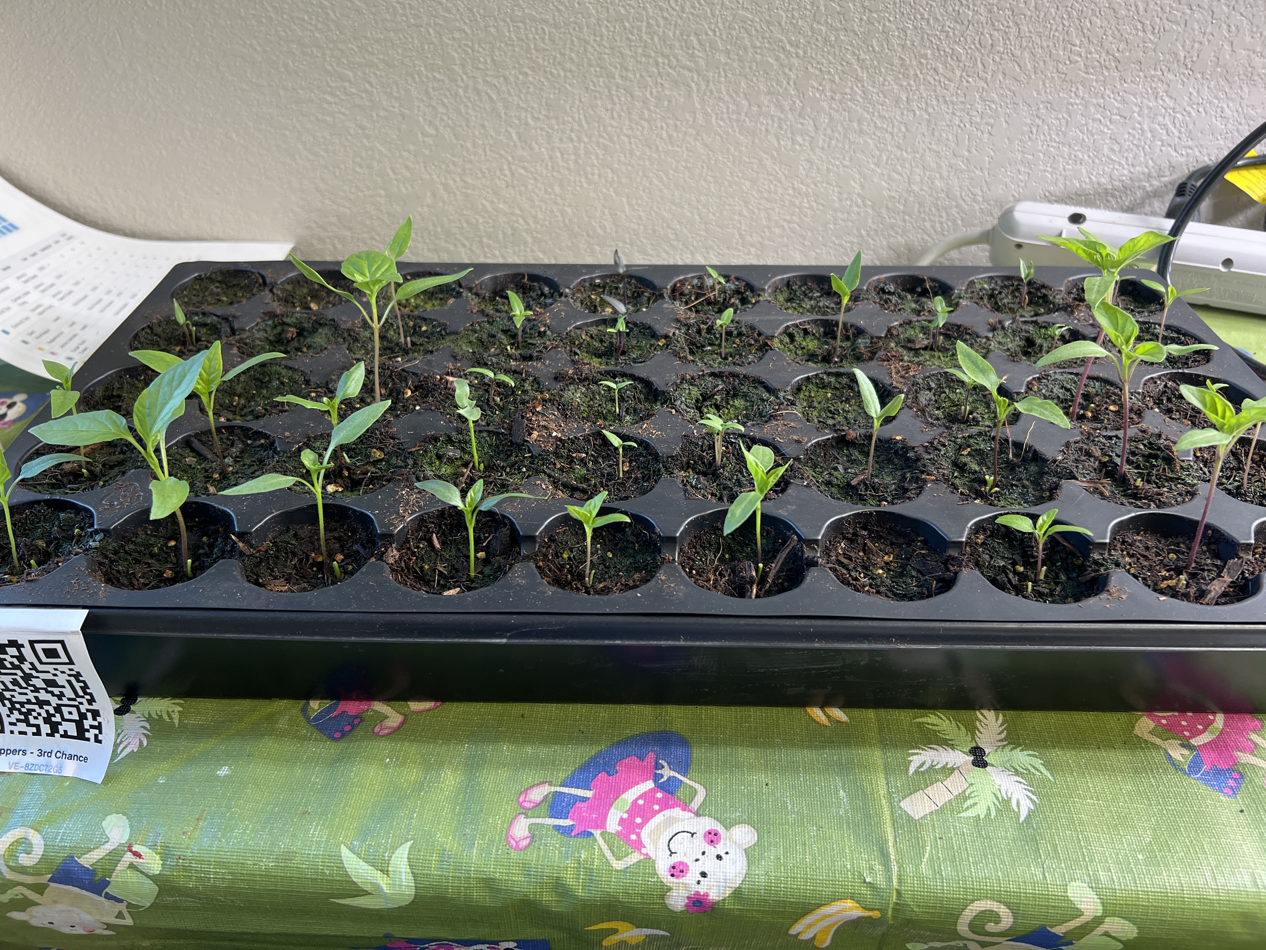 Tray: Inspected, pruned