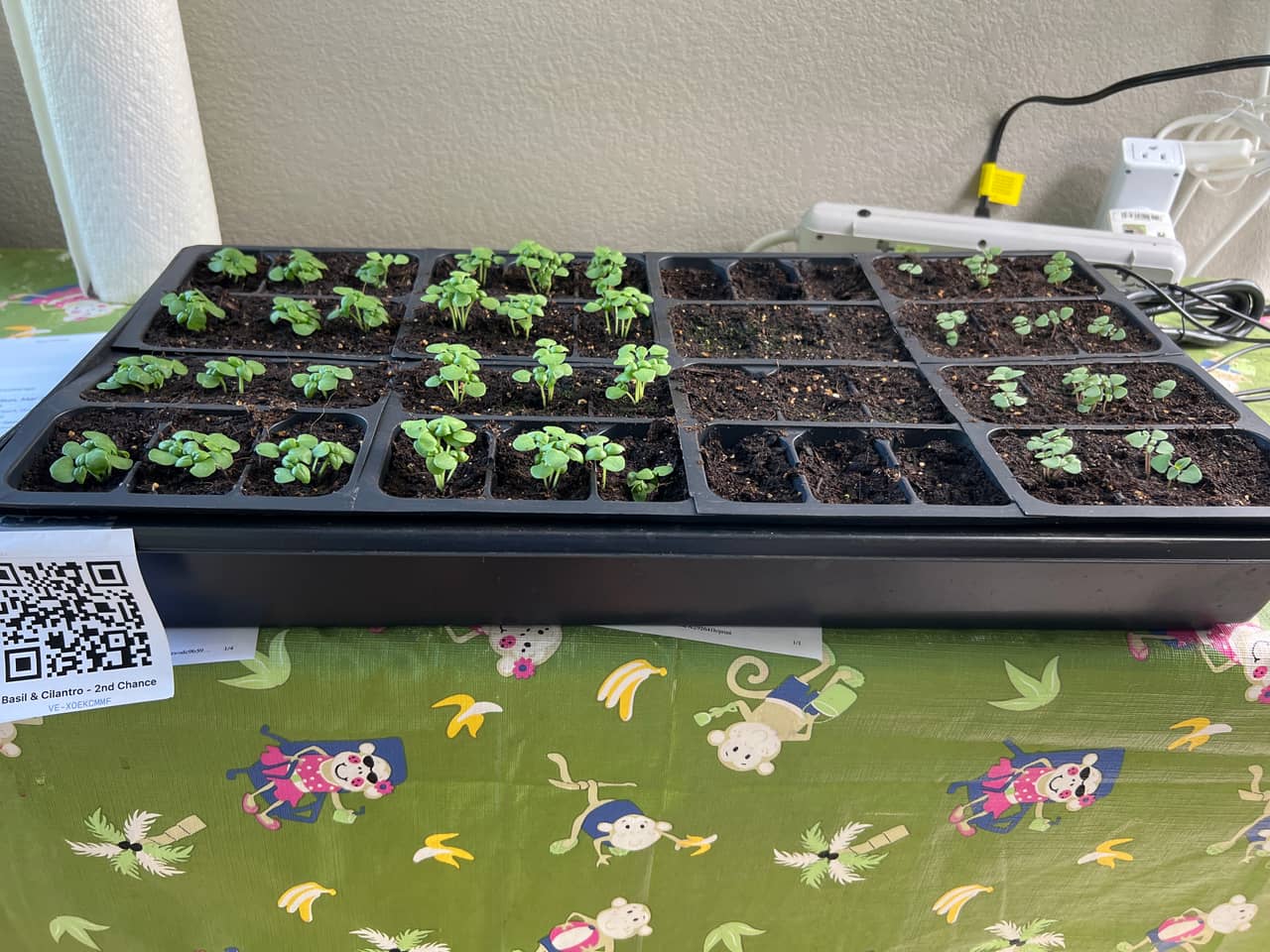 Tray: Watered