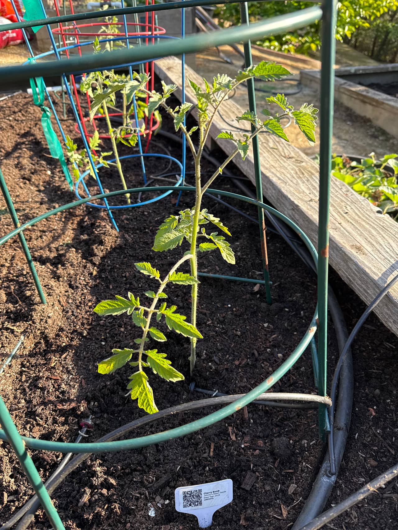Update photo